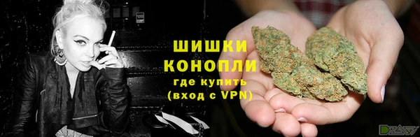 PSILOCYBIN Абдулино