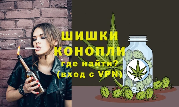 PSILOCYBIN Абдулино