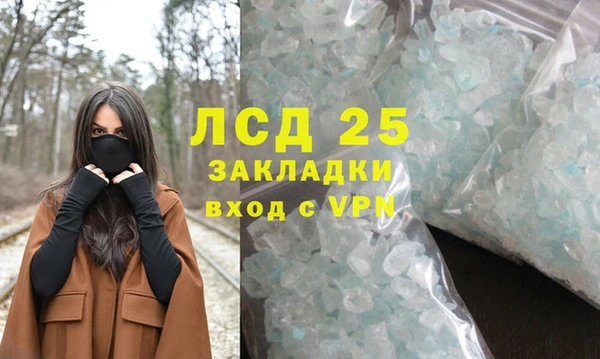 PSILOCYBIN Абдулино