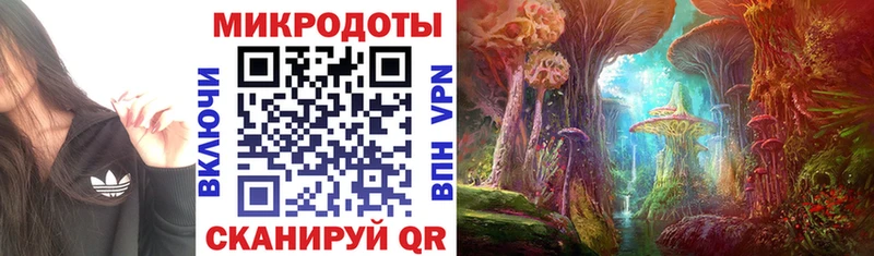 Галлюциногенные грибы Psilocybine cubensis  ОМГ ОМГ зеркало  Яблоновский  наркотики 